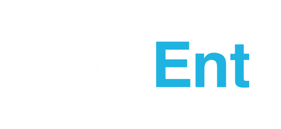 ویزا logo